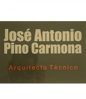 Jose Antonio Pino Carmona