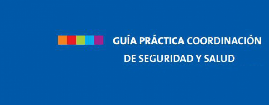 Guía Práctica para Coordinadores de Seguridad y Salud en la Obra con Proyecto