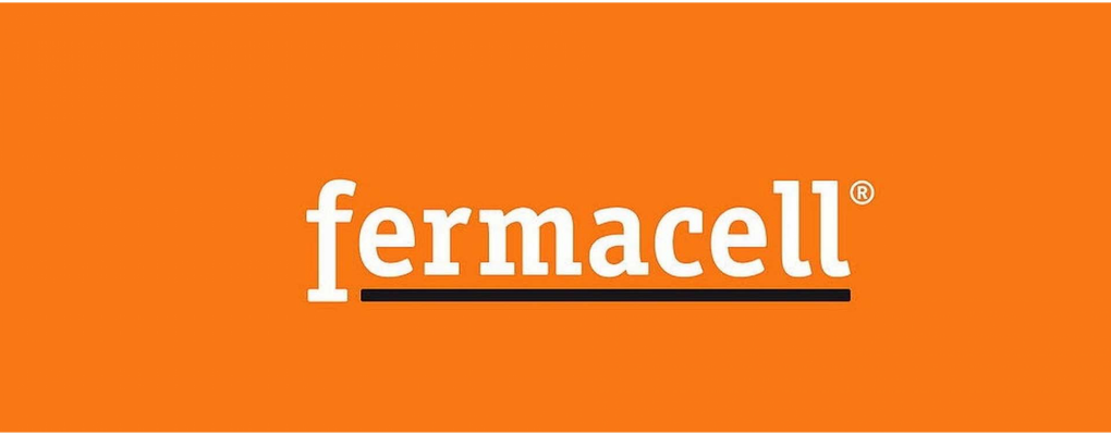 Fermacell obtiene el DAU 17/103 de la Tabiquería Seca con Placa de Fibra-Yeso Fermacell