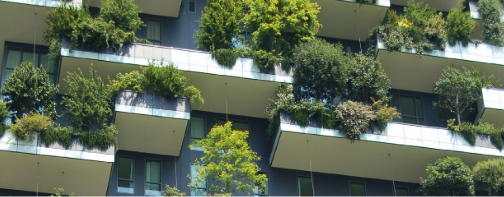 Crear positive spaces. Usando el diseño biofílico 