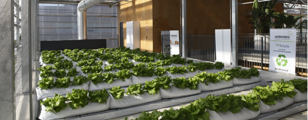El proyecto europeo Groof abre la convocatoria para impulsar proyectos de invernaderos en cubiertas de edificios
