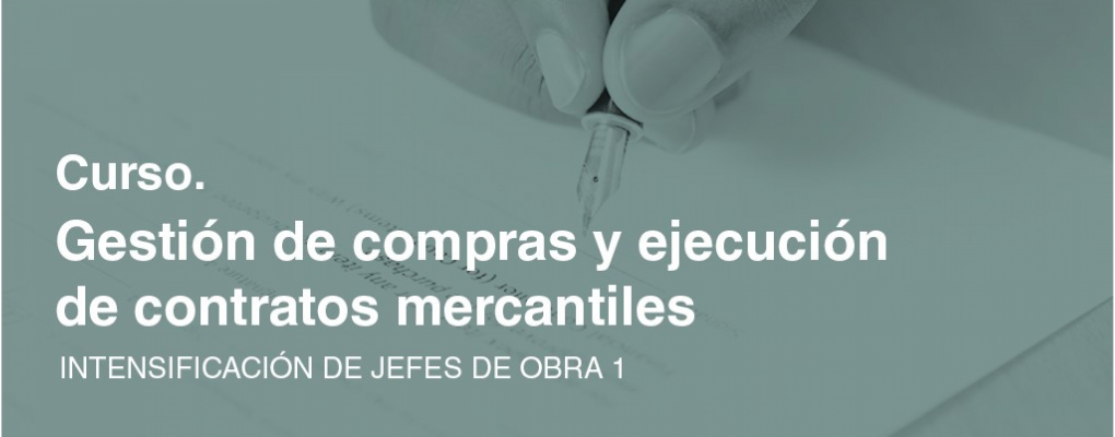 Intensificación de jefes de obra 1. Curso teórico - practico de gestión de compras y ejecución de contratos mercantiles. 3ª ed.