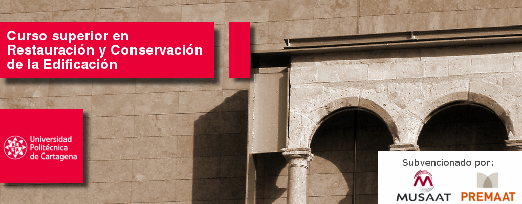 Curso Universitario Superior en Restauración y Conservación de la Edificación. Patología y Técnicas de Intervención (10ª edición)