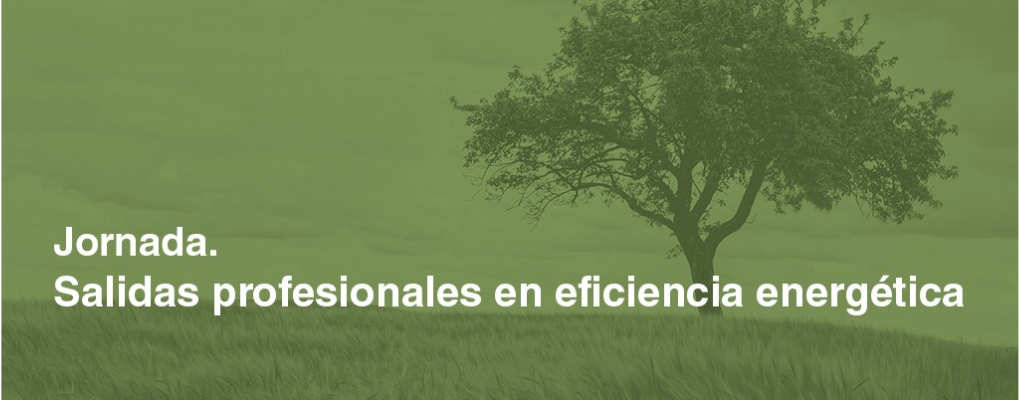 Jornada. Salidas profesionales en eficiencia energética