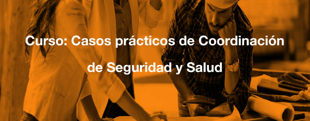 Curso Casos prácticos de Coordinación de Seguridad y Salud