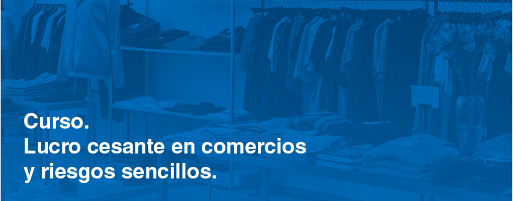 Lucro cesante en comercios y riesgos sencillos. Inhabitabilidad de Viviendas