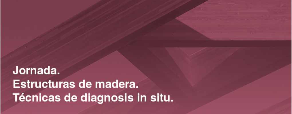 Estructuras de madera. Técnicas de diagnosis in situ. 4ª Edición