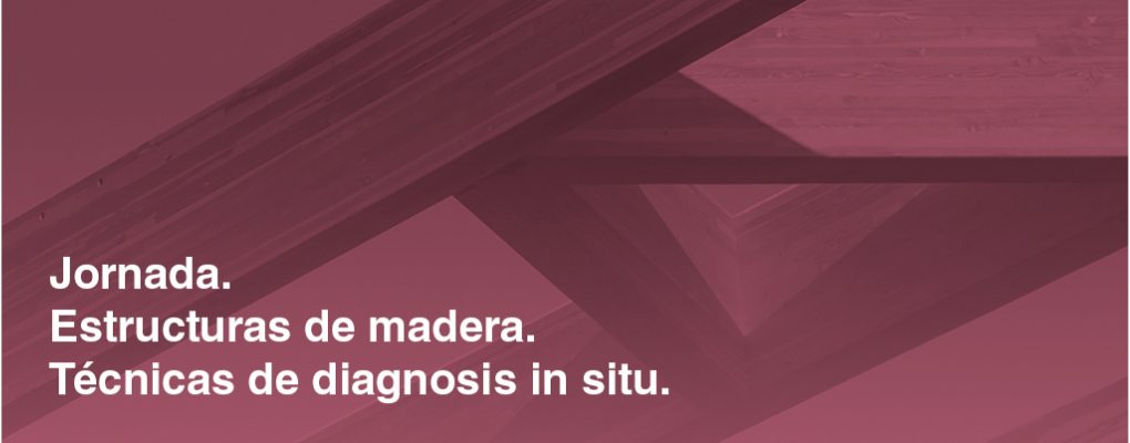 Estructuras de madera. Técnicas de diagnosis in situ. 4ª Edición 