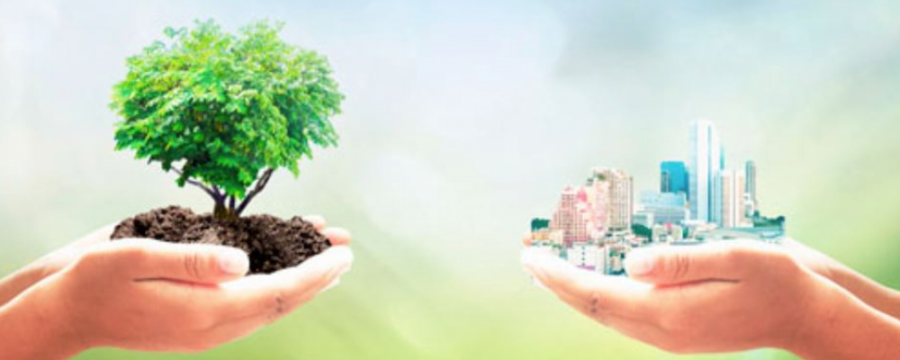 Ecoedifica 5/21 – Boletín de Sostenibilidad y Medio Ambiente CGATE