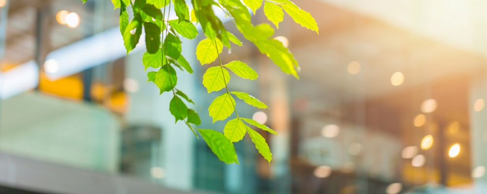 Proyecto de Orden por la que se desarrolla el RD que establece un sistema de certificados de ahorro energético (CAEs)