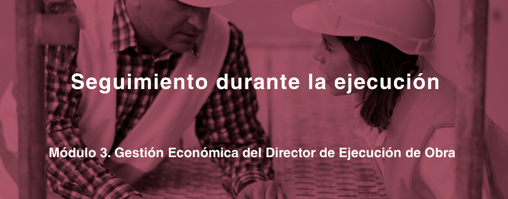 Seguimiento durante la ejecución. Módulo 3. Gestión Económica del Director de Ejecución de Obra 