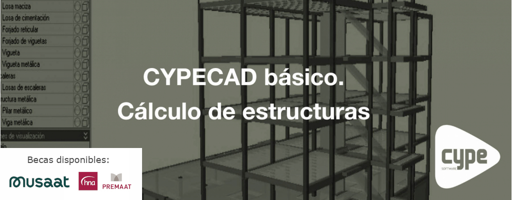 Curso CYPECAD básico. Cálculo de estructuras.