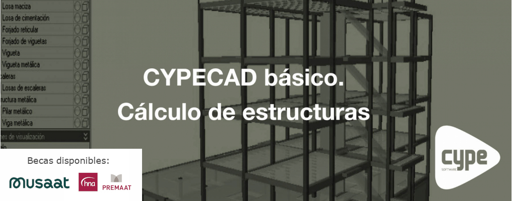 Curso CYPECAD básico. Cálculo de estructuras. 10ª edición