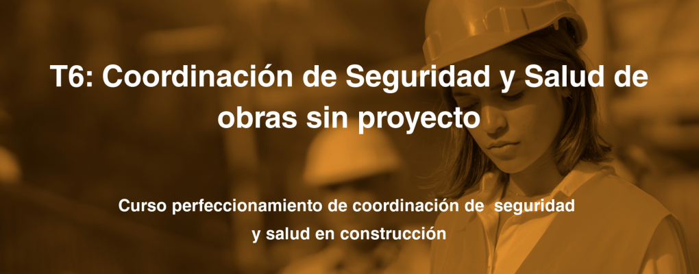 T6. Coordinación de Seguridad y Salud de Obras sin Proyecto