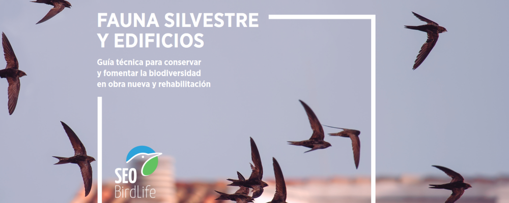 Fauna silvestre y edificios