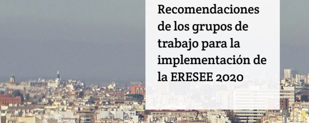 Recomendaciones de los grupos de trabajo para la implementación de la ERESEE 2020