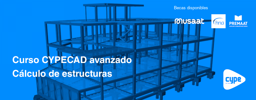 Curso CYPECAD avanzado. Cálculo de estructuras