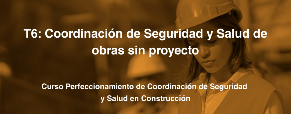 T6. Coordinación de Seguridad y Salud de Obras sin Proyecto