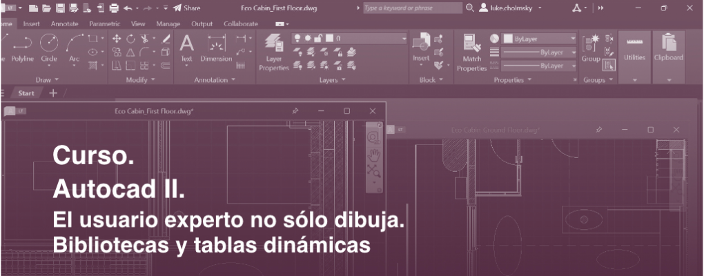 Autocad II. El usuario experto no sólo dibuja. Bibliotecas y tablas dinámicas