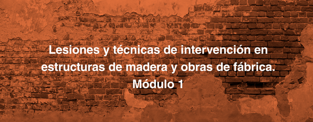 Curso: Mod. 1: Lesiones y técnicas de intervención en estructuras de madera y obras de fábrica.