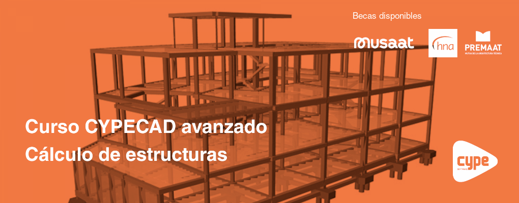 Curso CYPECAD avanzado. Cálculo de estructuras