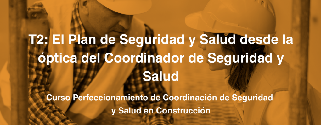 T2: El Plan de Seguridad y Salud desde la óptica del Coordinador de Seguridad y Salud 