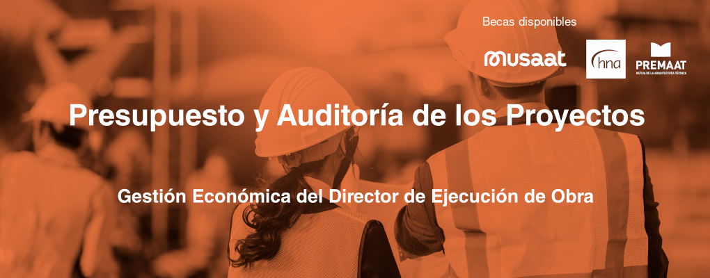 Curso. Presupuesto y Auditoría de los Proyectos. Gestión Económica del Director de Ejecución de Obra