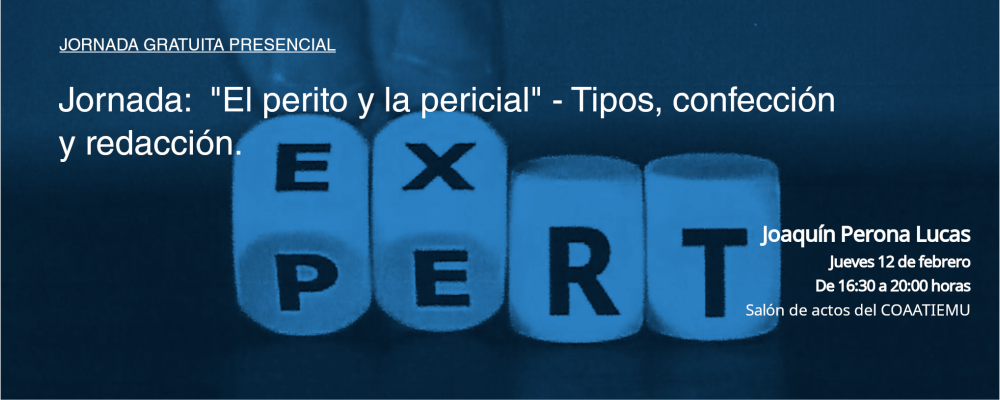 Jornada: “El perito y la pericial”: tipos, confección y redacción. Impartida por Joaquín Perona