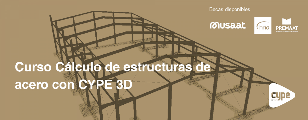 Curso Cálculo de estructuras de acero con CYPE 3D