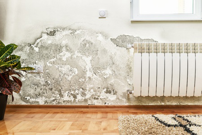 Humedades II: Manchas de humedad en las paredes de tu vivienda