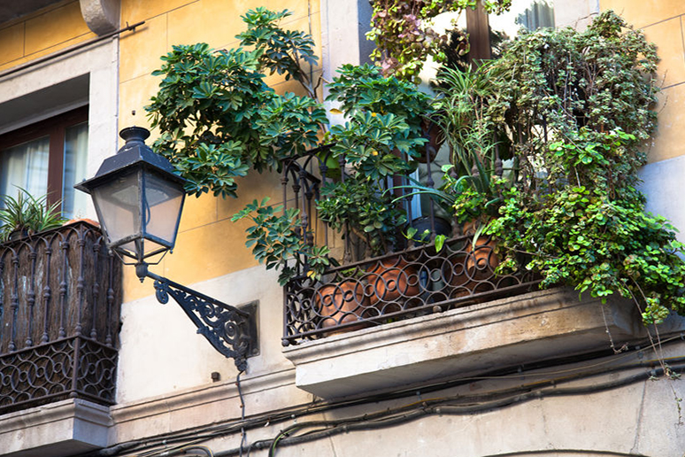 Plantas en los balcones: cuidado con el sobrepeso