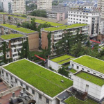 ¿Por qué instalar una cubierta verde en rehabilitación?