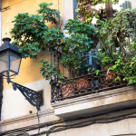 Plantas en los balcones: cuidado con el sobrepeso